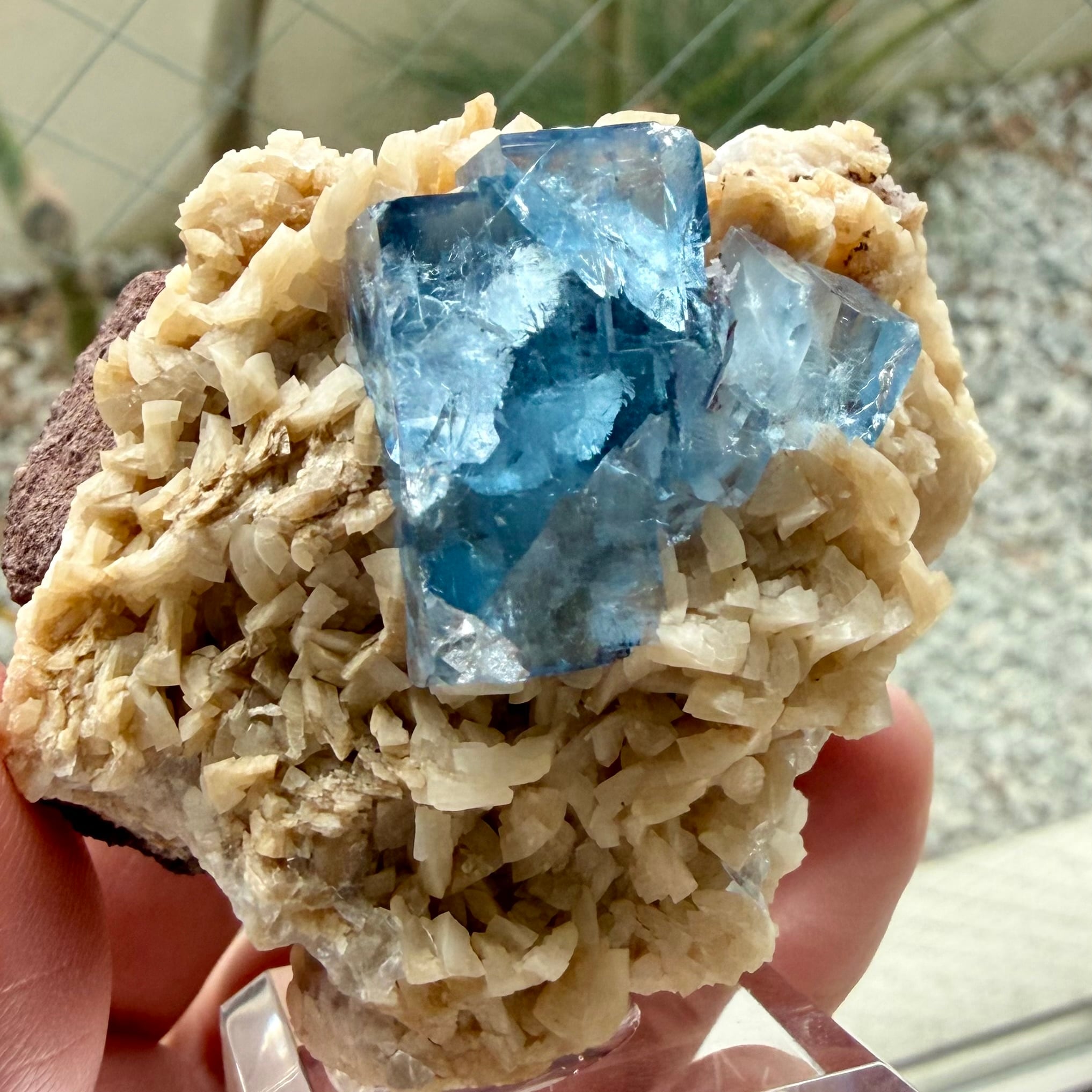 フローライト / ドロマイト【Fluorite on Dolomite】イングランド産