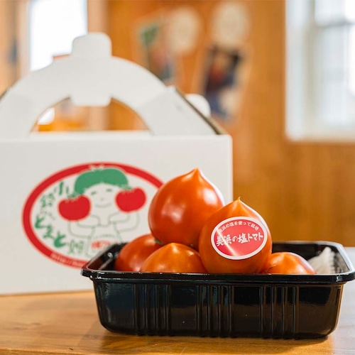 美浜の塩トマト 糖度8.5度  500g