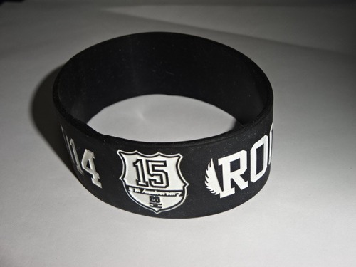 ROCK IN JAPAN FES 2014　ラバーバンド ラババン