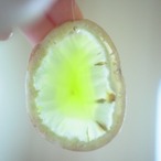 Lemon Sherbet 07 - アゲートヒーリングチャイム / Agate Sun Catcher Wind Chime 1002