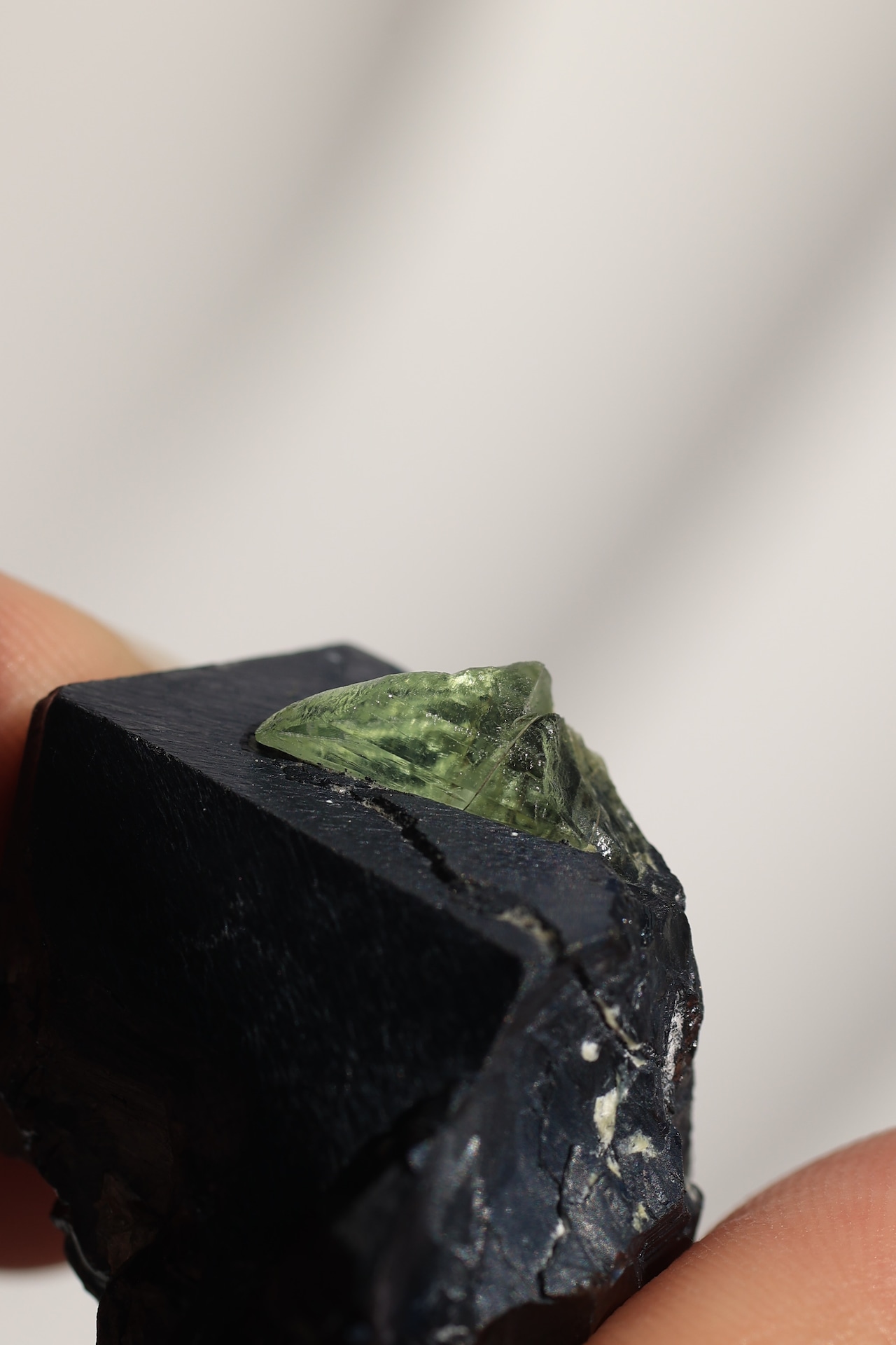 ペリドット「光の芽吹き」Peridot|天然石 原石 鉱物 パワーストーン | PD-A-001