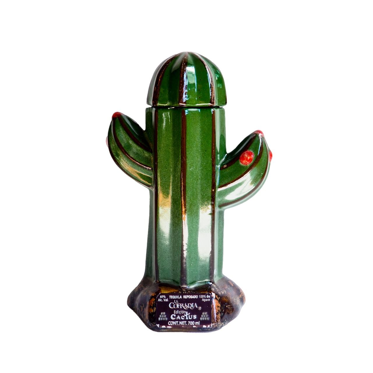 Cactus ceramic object made in Mexico
