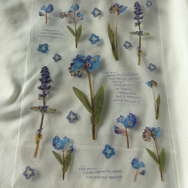 お花シール 勿忘草 Helvetica