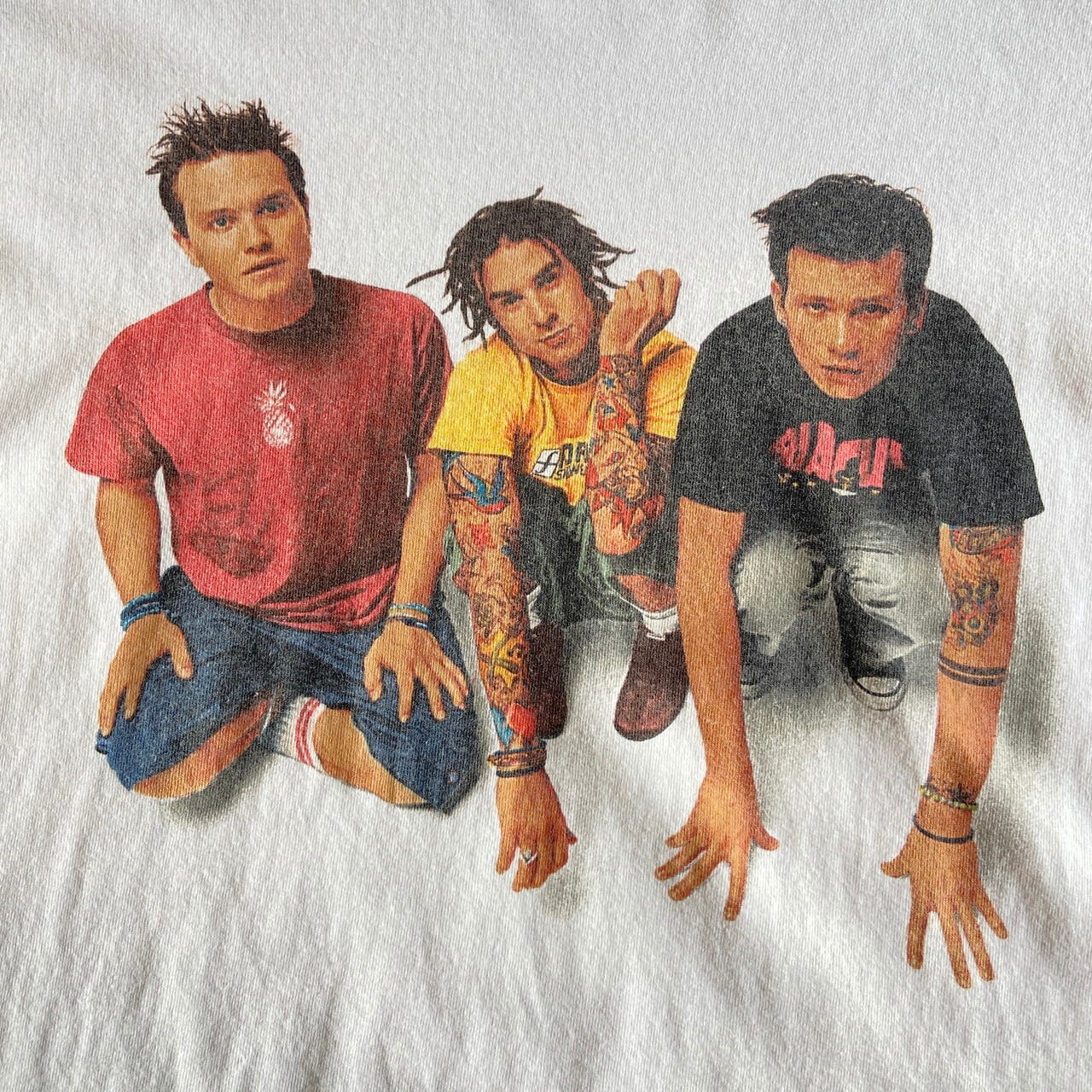 BLINK182 バンド Tシャツ anvil バータグ USA