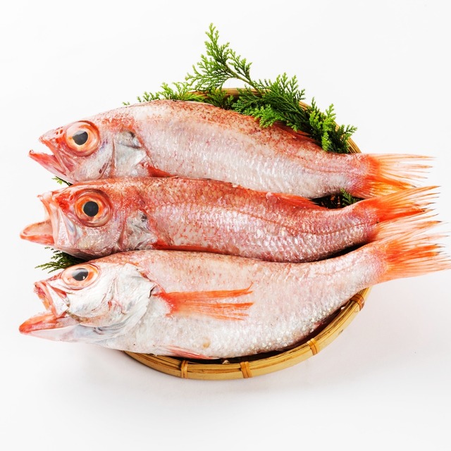 旨脂！のどぐろ鮮魚