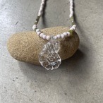 ammonite dream