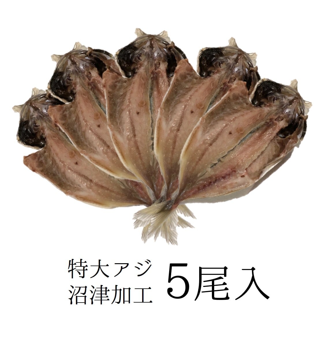 大アジ干物 沼津加工 5尾入 約1キロ分(1尾約200g)【特大鯵干物5尾】冷凍 豊洲直送 お徳用