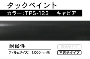 タックペイント　TPS-123 キャビア【3m】