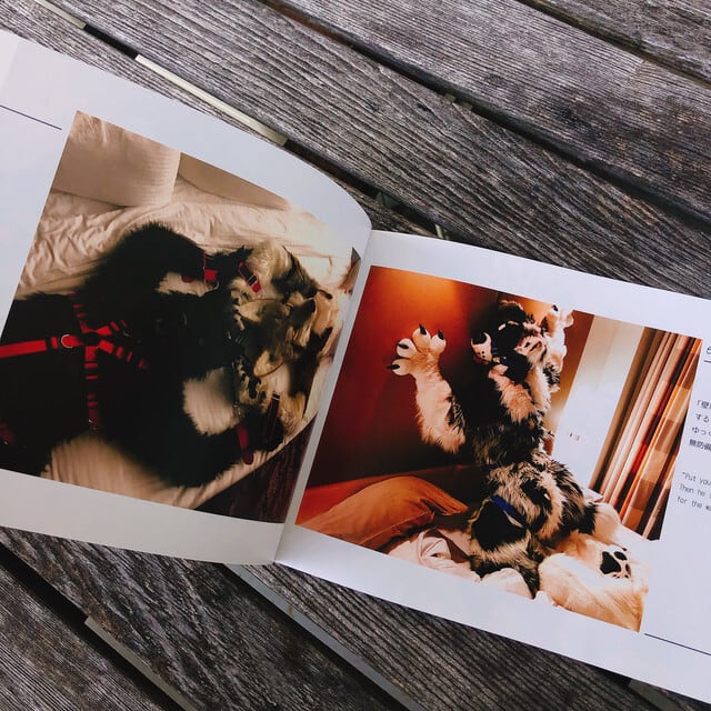 (B5版) I OWE YOU / YOU OWN ME