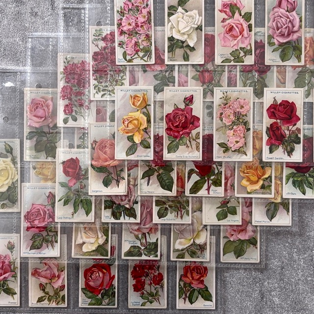 ✦-✦フルセット50枚 Wills社 薔薇･ローズ✦-✦ 英国 ヴィンテージ シガレットカード イギリス 2607001-18