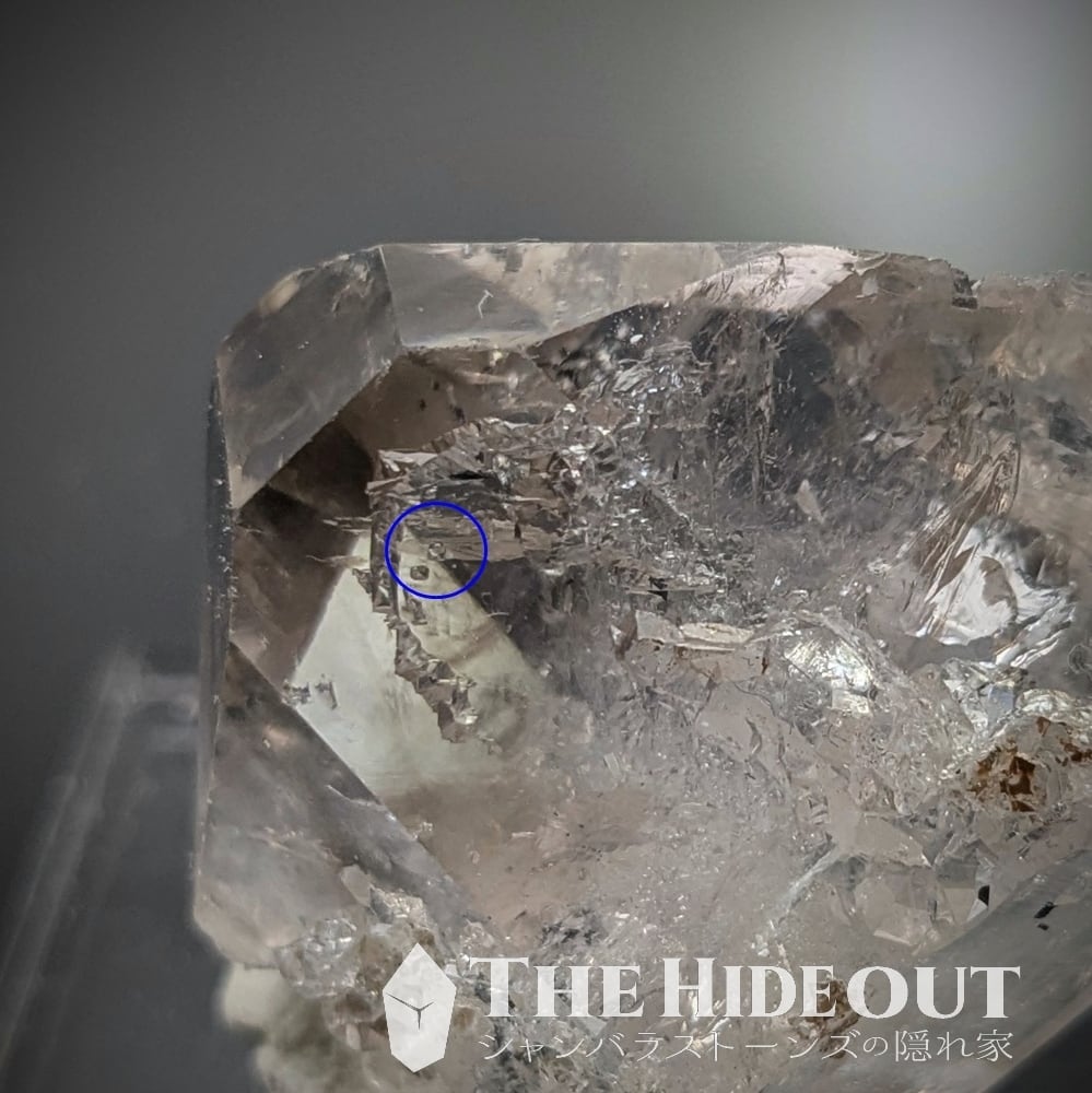 パキスタン  スモーキーNo1278 パキスタン スモーキーNo1278