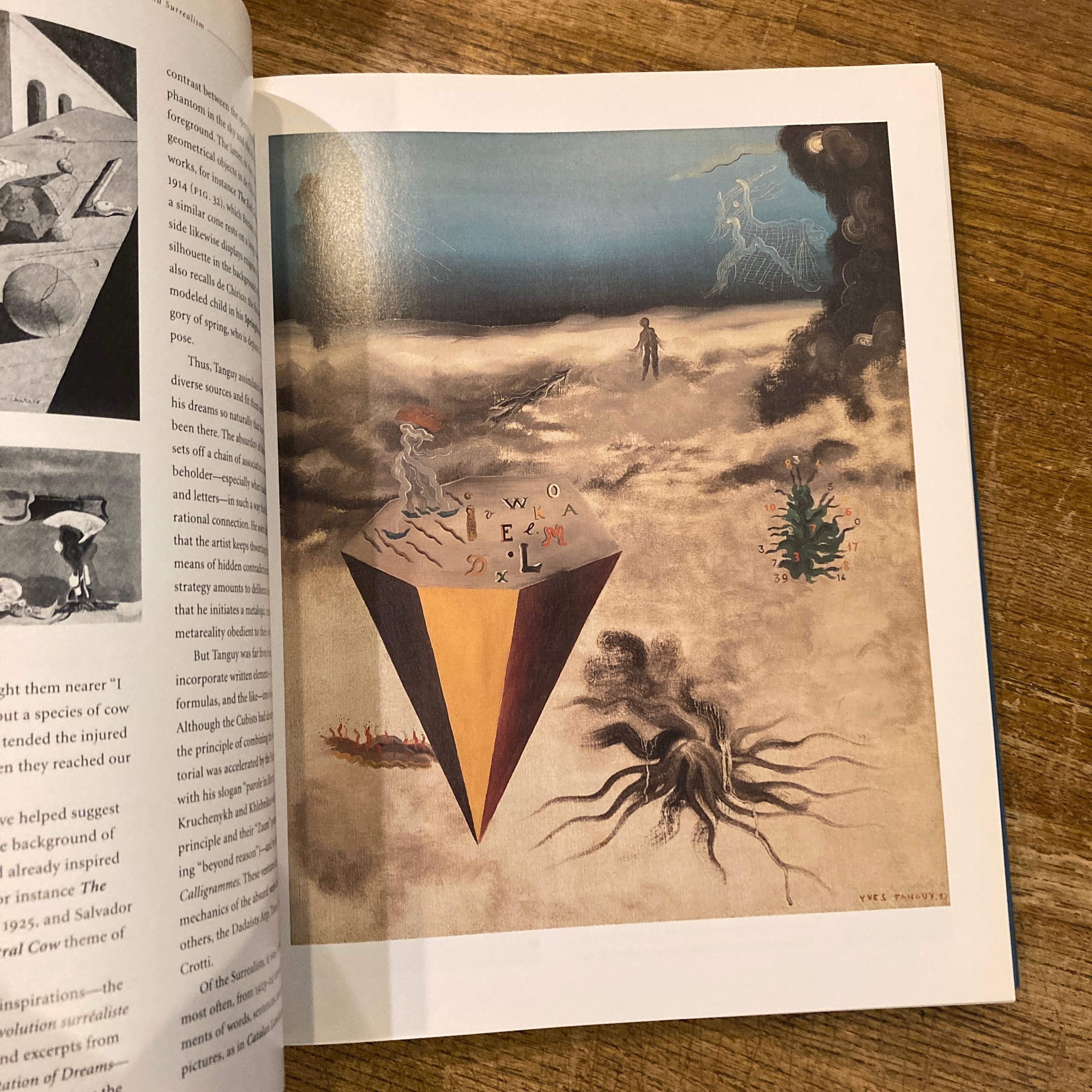 Yves Tanguy and Surrealism / イヴ・タンギー 編｜Karin Von Maur | 百年