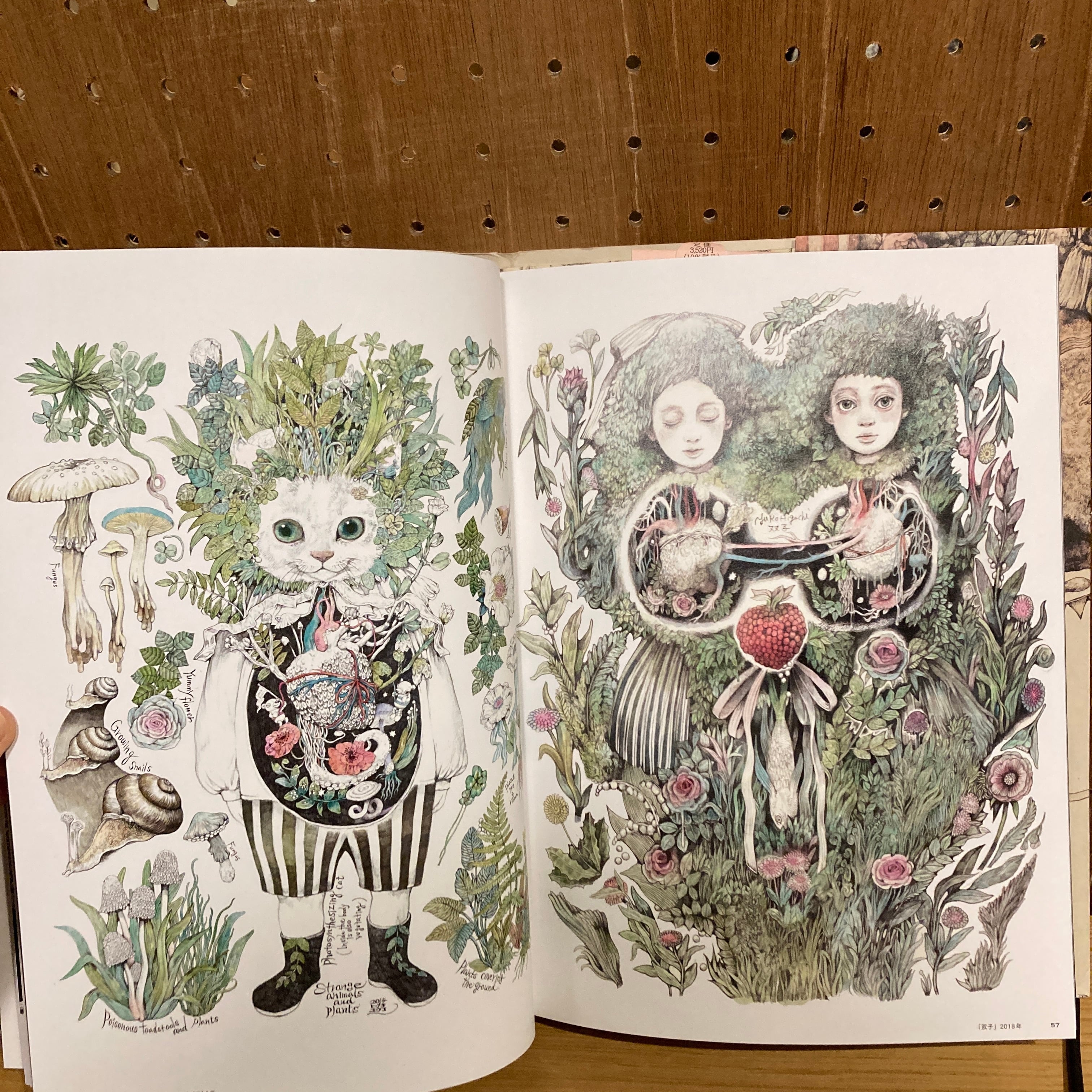 ヒグチユウコ画集 CIRCUS (サーカス) | 百年