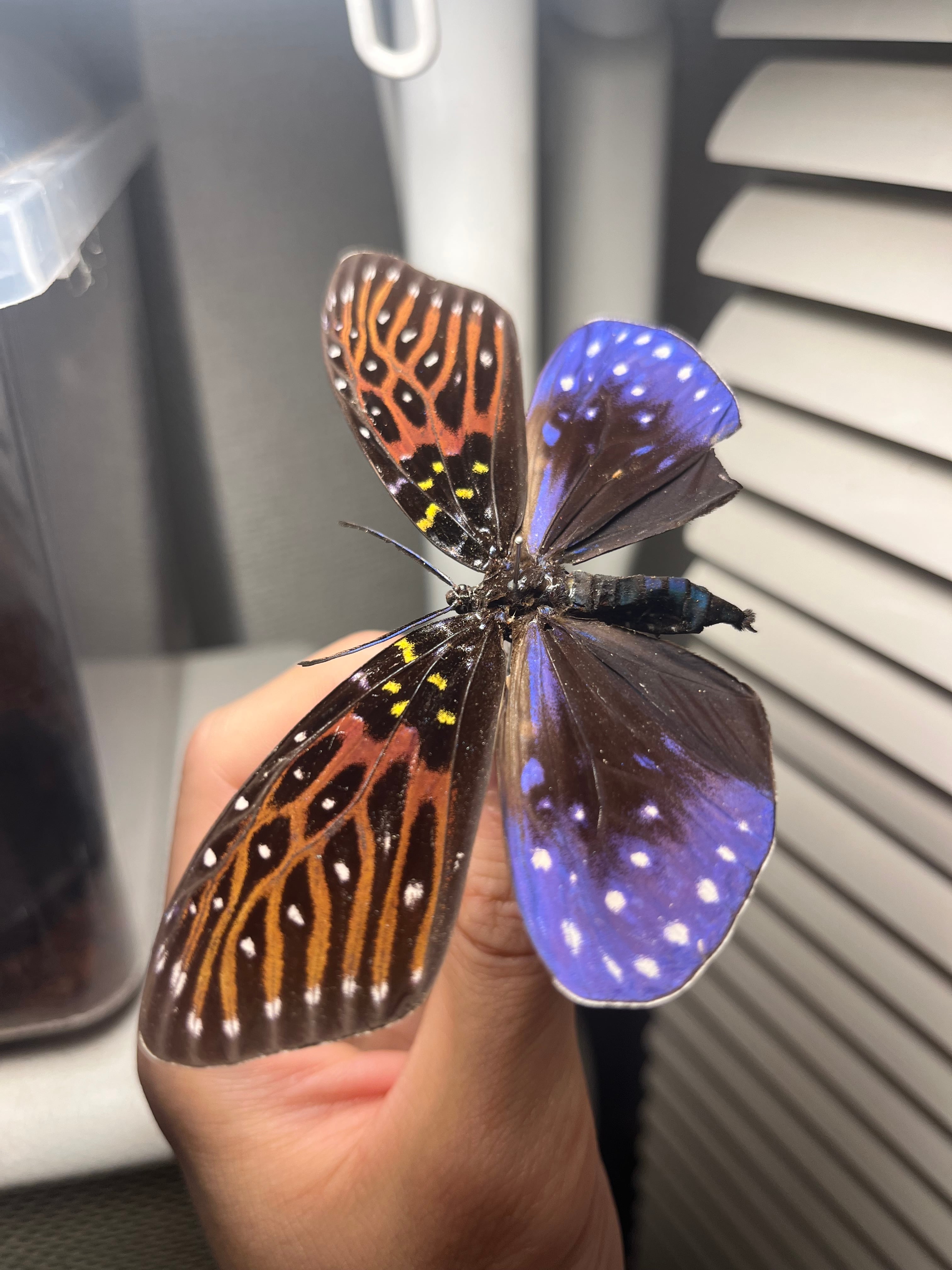 29a3850da7573abca23b0fd8188da7