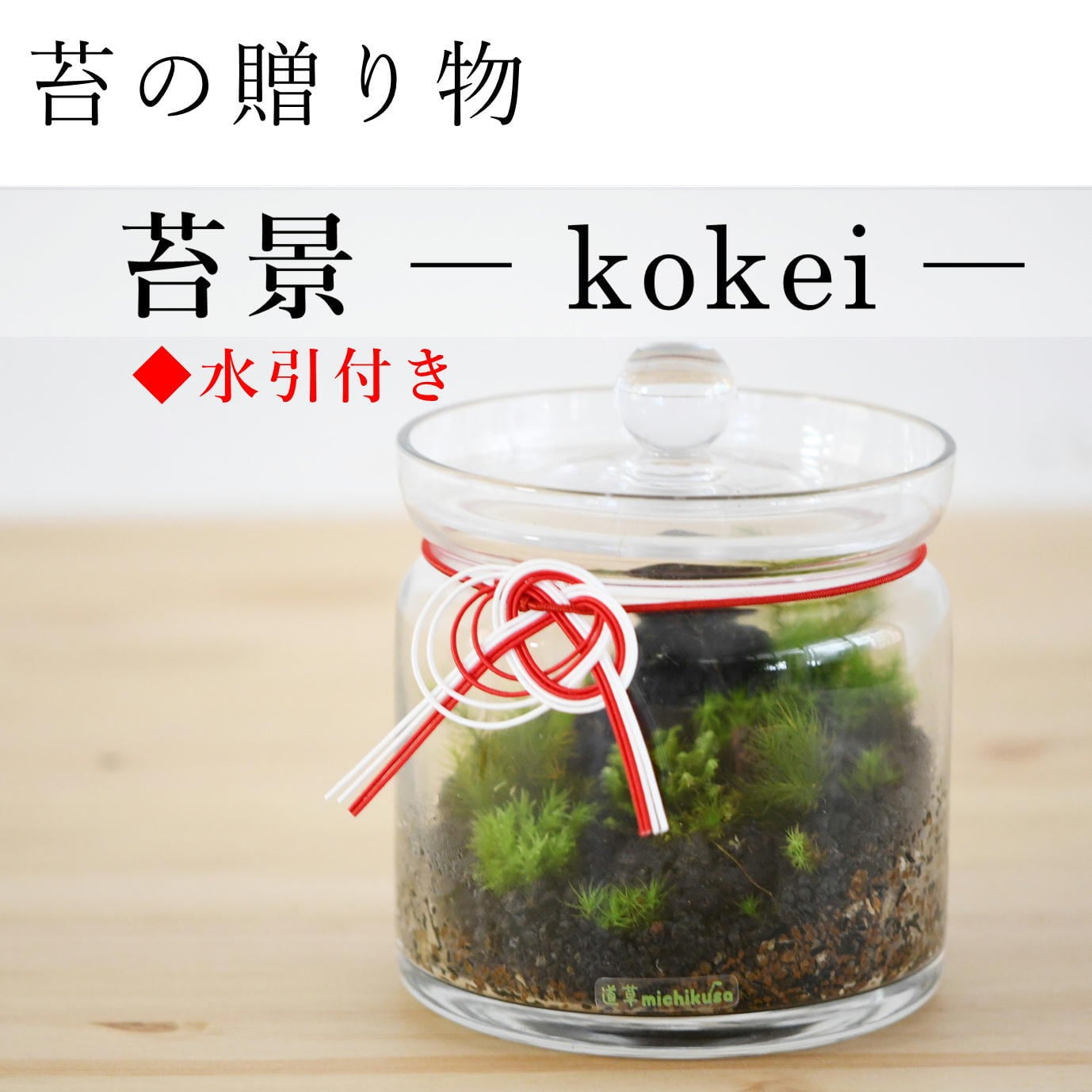 苔の森の贈り物】苔景キャニスター／水引付き ◇縁起の良い贈り物 | 苔