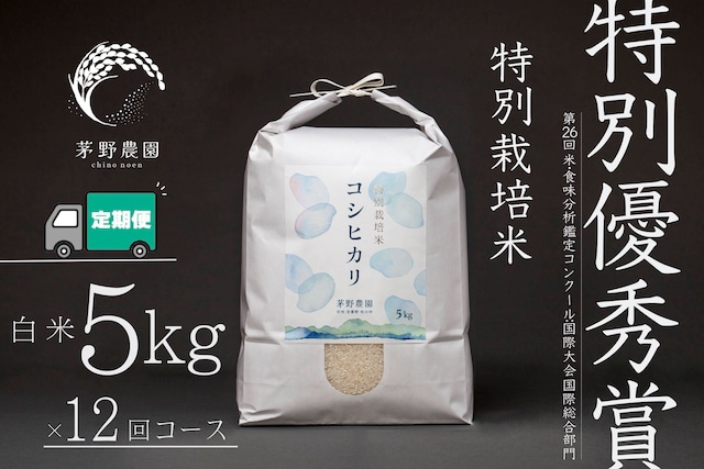 【R7年産米予約】【定期便 5kg×1袋 12回コース 一括支払で送料がお得】茅野農園 特別栽培米 コシヒカリ 5kg 減農薬 化学肥料(窒素成分)不使用 【8月一杯限定商品】