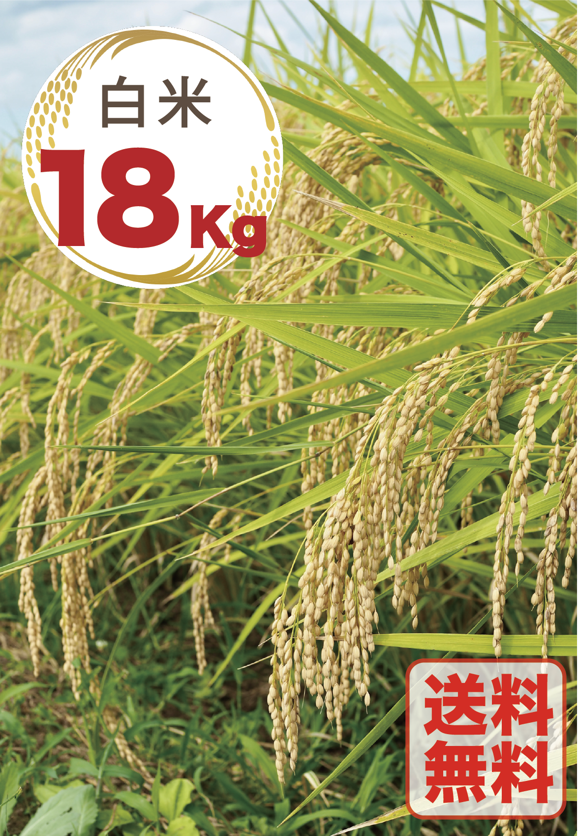 新米2025｜岩手・花巻産 2025年産お米（白米）手刈り・天日干し10