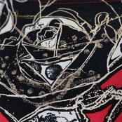 社交ダンス 衣装 ツーピース チャコットロイヤルダンス Chacott ROYAL DANCE ピンク系 花柄 伸縮 上品 高級感 華やか 日本製 黒 白 金 ストレッチ パーティー 長袖 セットアップ 上下セット レッスン ブラック系 ホワイト系 ゴールド系