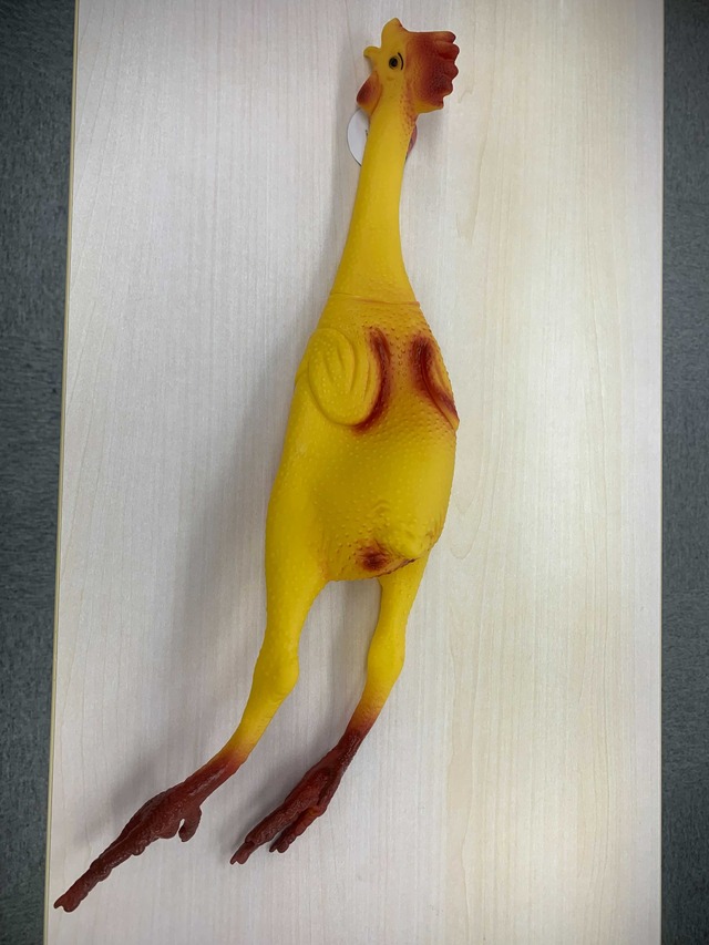 ラバーチキン プロジェクトアドベンチャージャパン・PAグッズストア