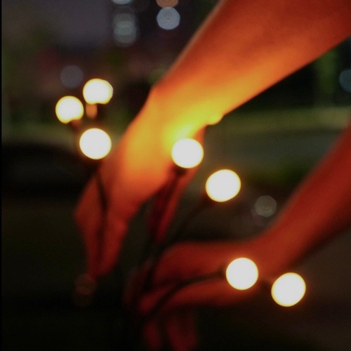 屋外 中庭 ガーデン ソーラーパネル ホタル 球状 グランドランプ 芝生 装飾風景 暖色 10個セット おしゃれ