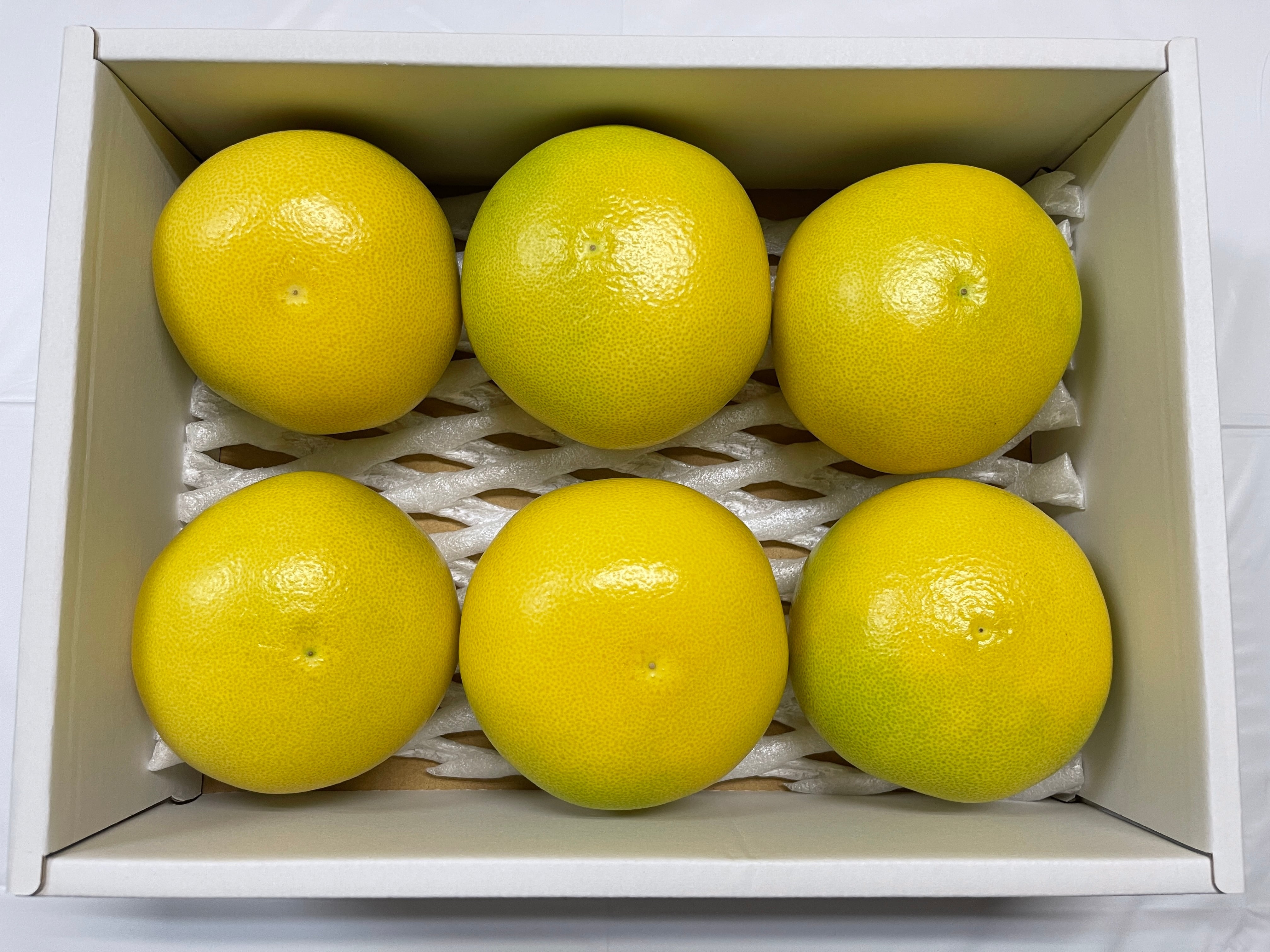 温室土佐文旦 秀品 6個入り 約3kg ハウス栽培 化粧箱入り | kochi808
