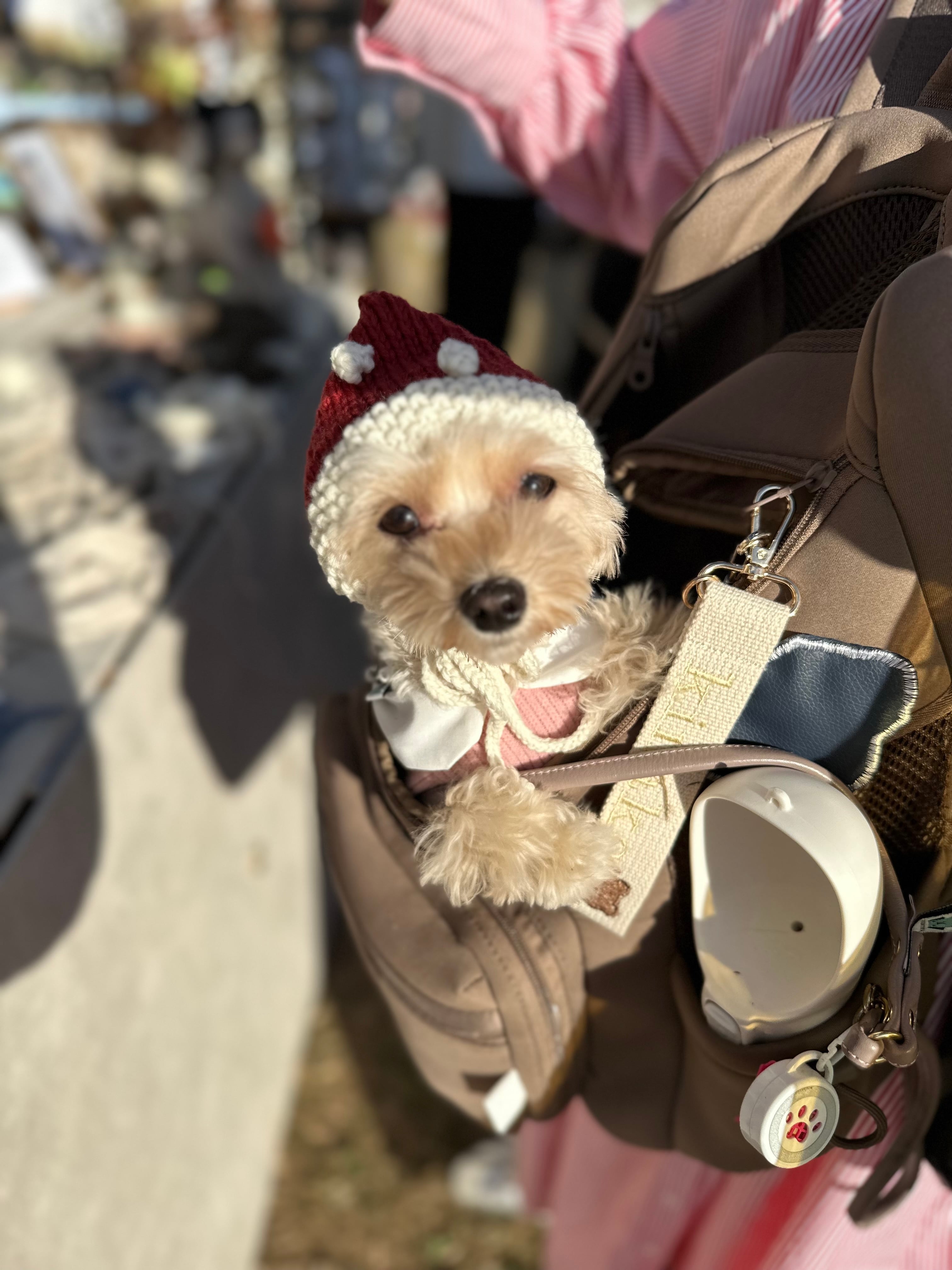 【即納】サンタボンネットSSサイズ