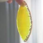 Rainbow Beach 12 - アゲートヒーリングチャイム / Agate Healing Chime 1373