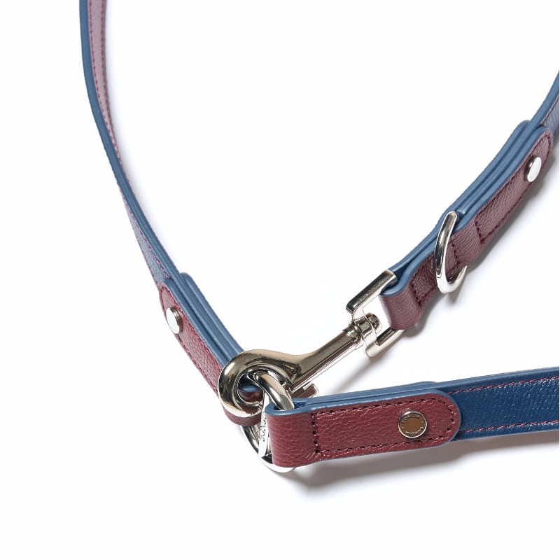 BONDIR Rosette Hands-Free Dog Leash | With Wanko