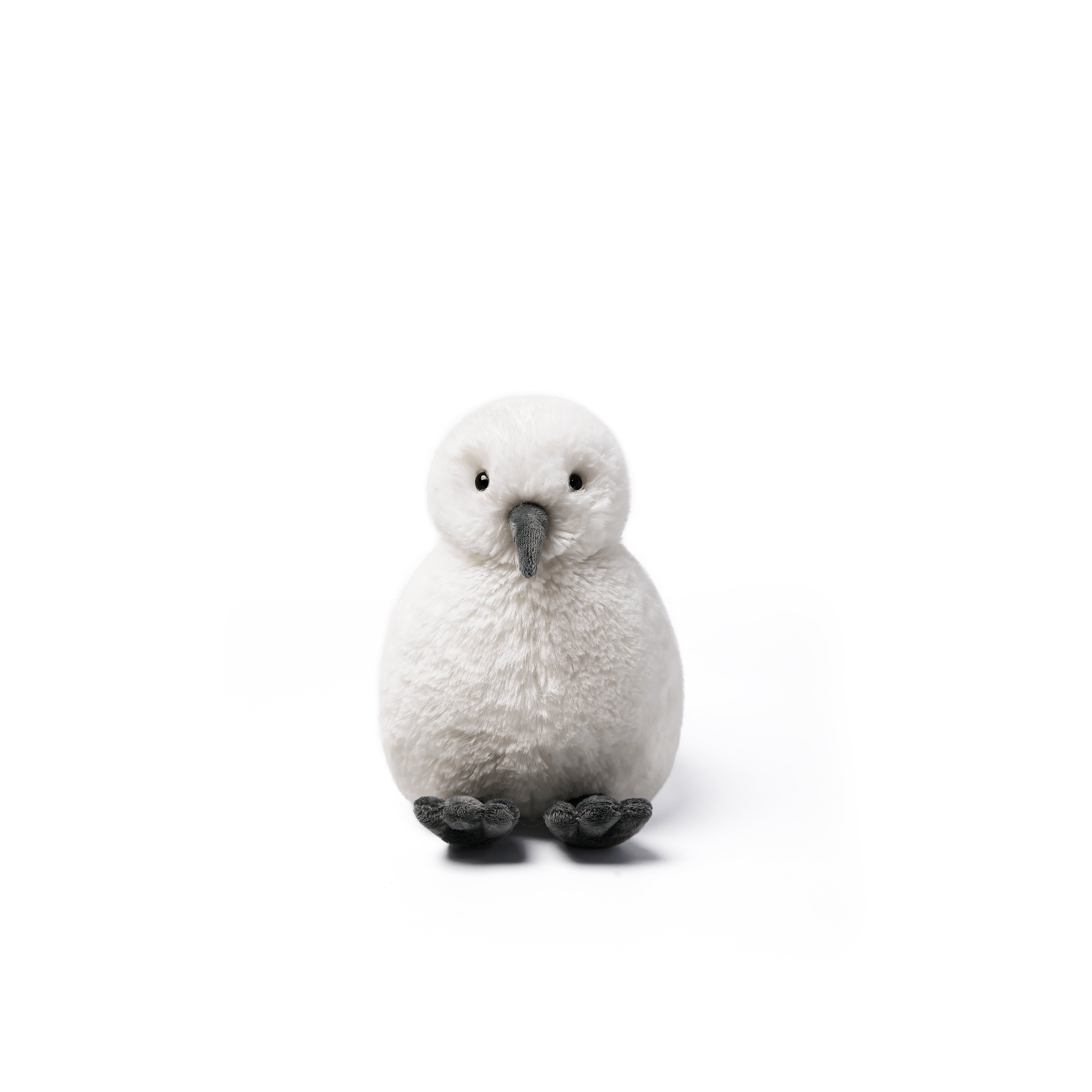 Kiwi Bird_MC400050