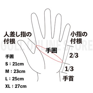 ウィンターグローブ GULL ガル ダイビンググローブ