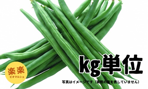 サヤインゲン（お得サイズ・㎏単位）