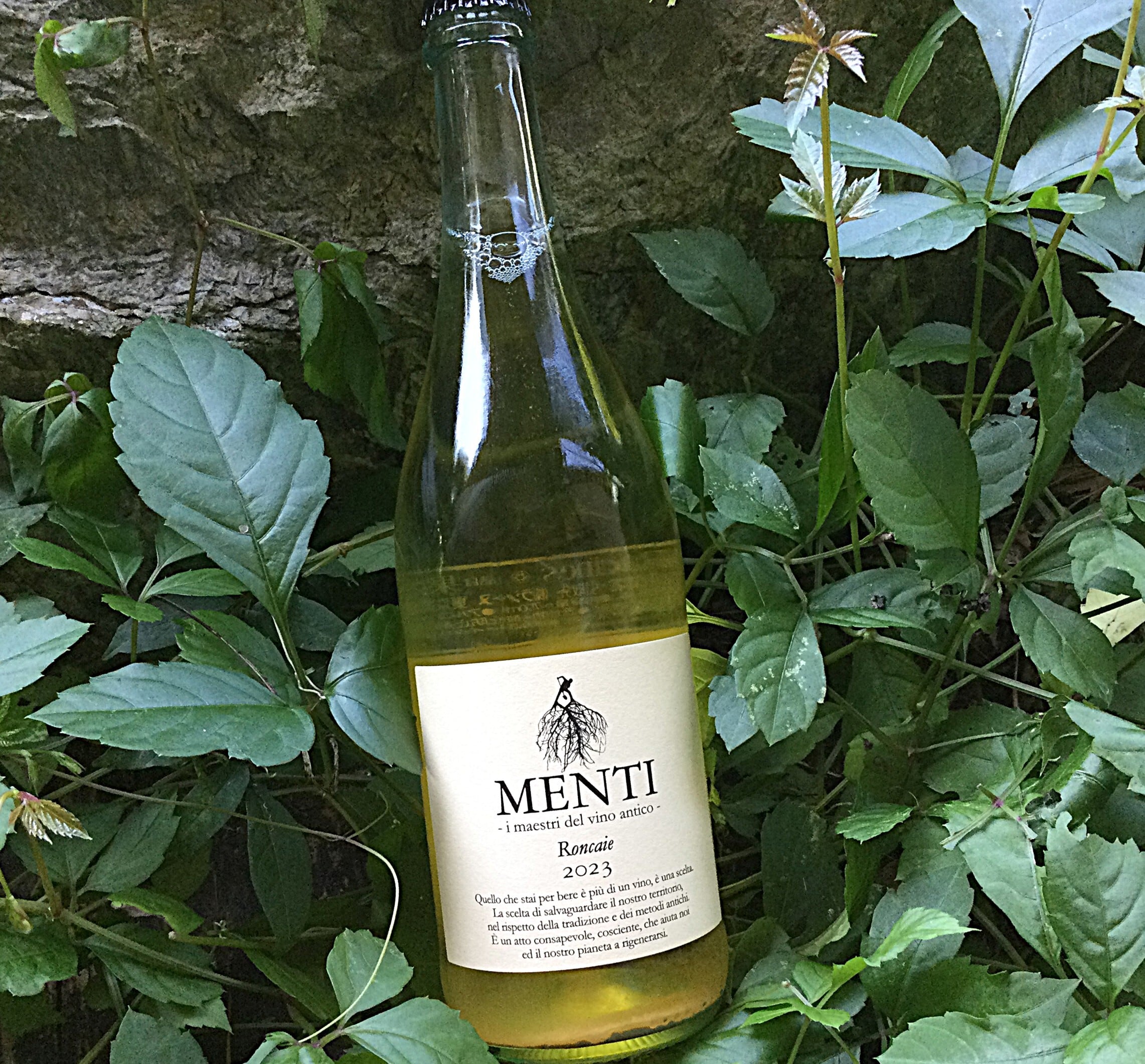 2021年[白] XXI(ヴァンテアン) / ディディエ ダグノー | 大澤田葡萄酒店