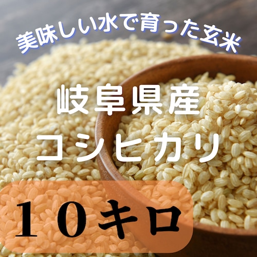 【送料無料】お米初出荷キャンペーンとして数量限定岐阜県七宗産コシヒカリ玄米(10キロ)