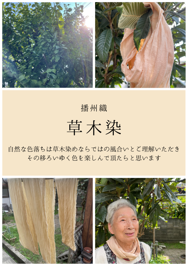 キウイクーラーのレシピ