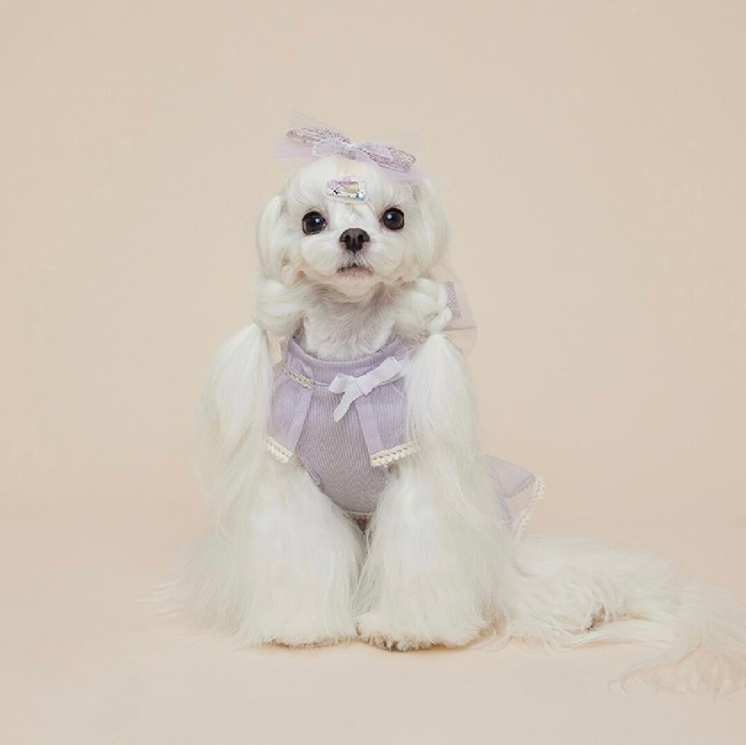 【CCPM】Fairy Cape Crop