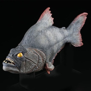 Piranha Prop Replica Model (Latex version) with walnut display stand