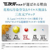 三次元マスク 1箱 ふつう/Mサイズ 30枚 ホワイト