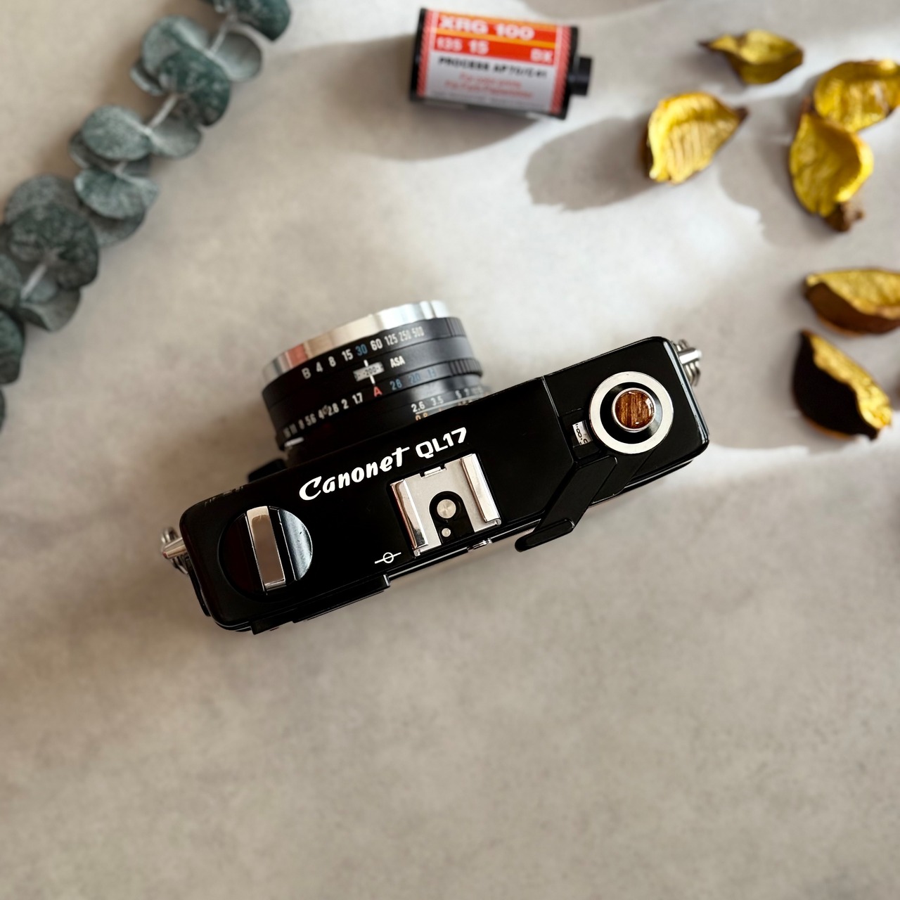 CANON CANONET QL17 Giii black　天然サテンシカモア材仕上げ　一点もの