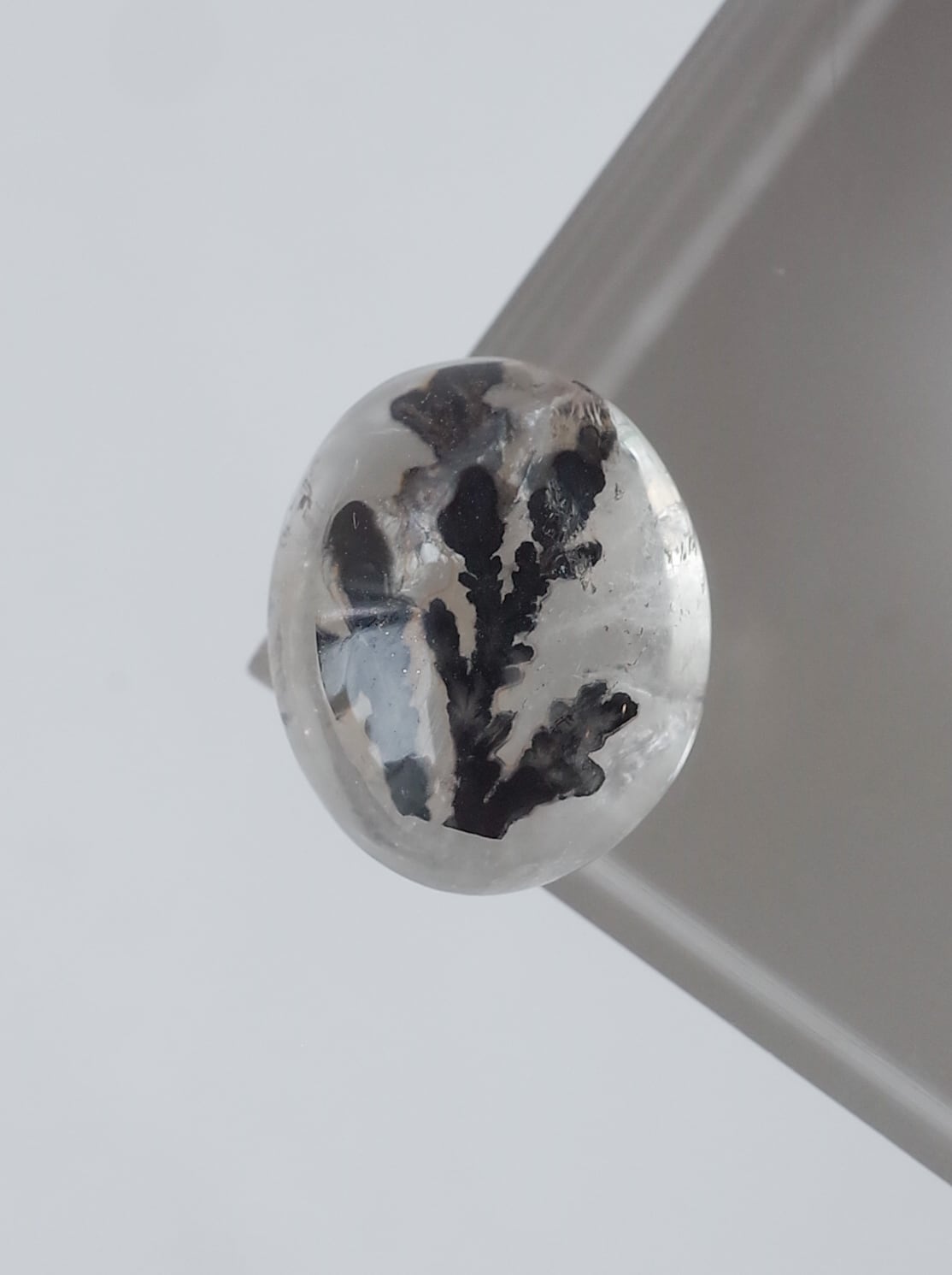 デンドリティッククォーツ - a03 | SELSHA