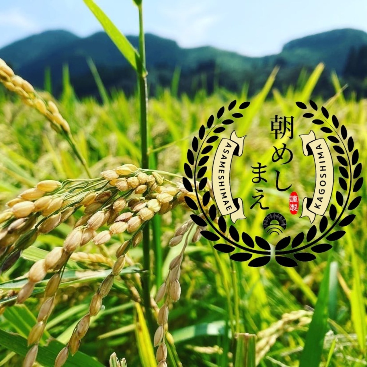 Japanese BROWN RICE・ASAMESHI-MAE1kg 【No Agrochemical・Brown Rice・Made in ...