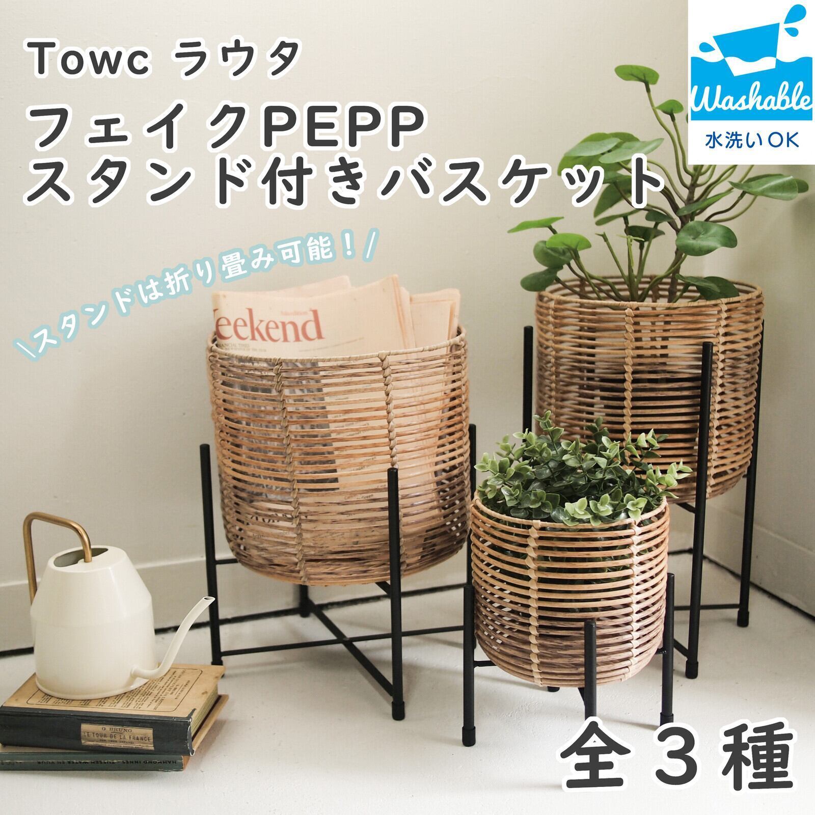 ヒルデウィンテラ カラデモノニス 猫のしっぽサボテン ヒモサボテン