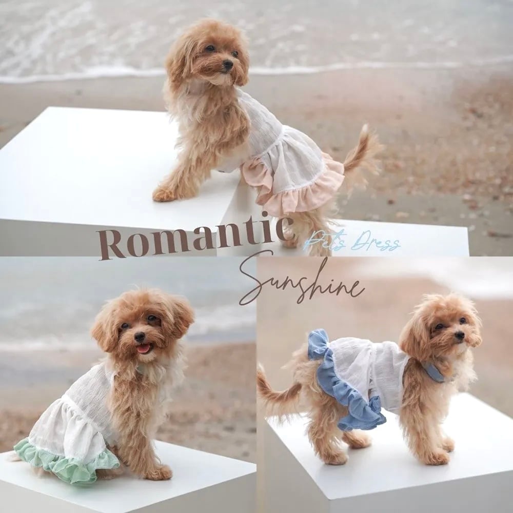 Romantic Sunshine – Pet Dress〈XS-L〉