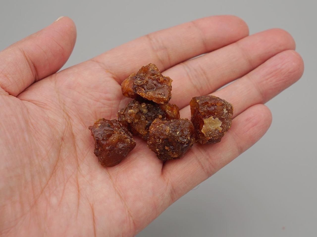 Fragrant Caudex Series 02 / Myrrh(ミルラ) - 2