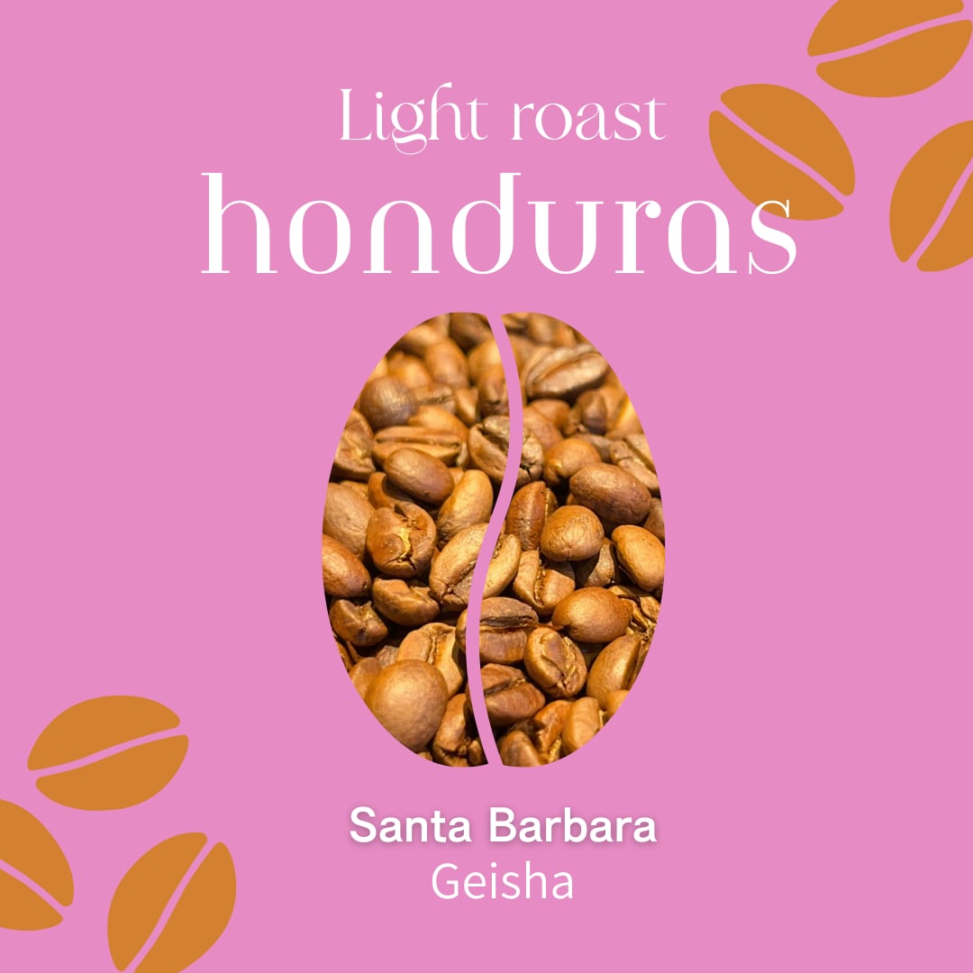【ホンジュラス】COE#2 Geisha Natural│Light Roast