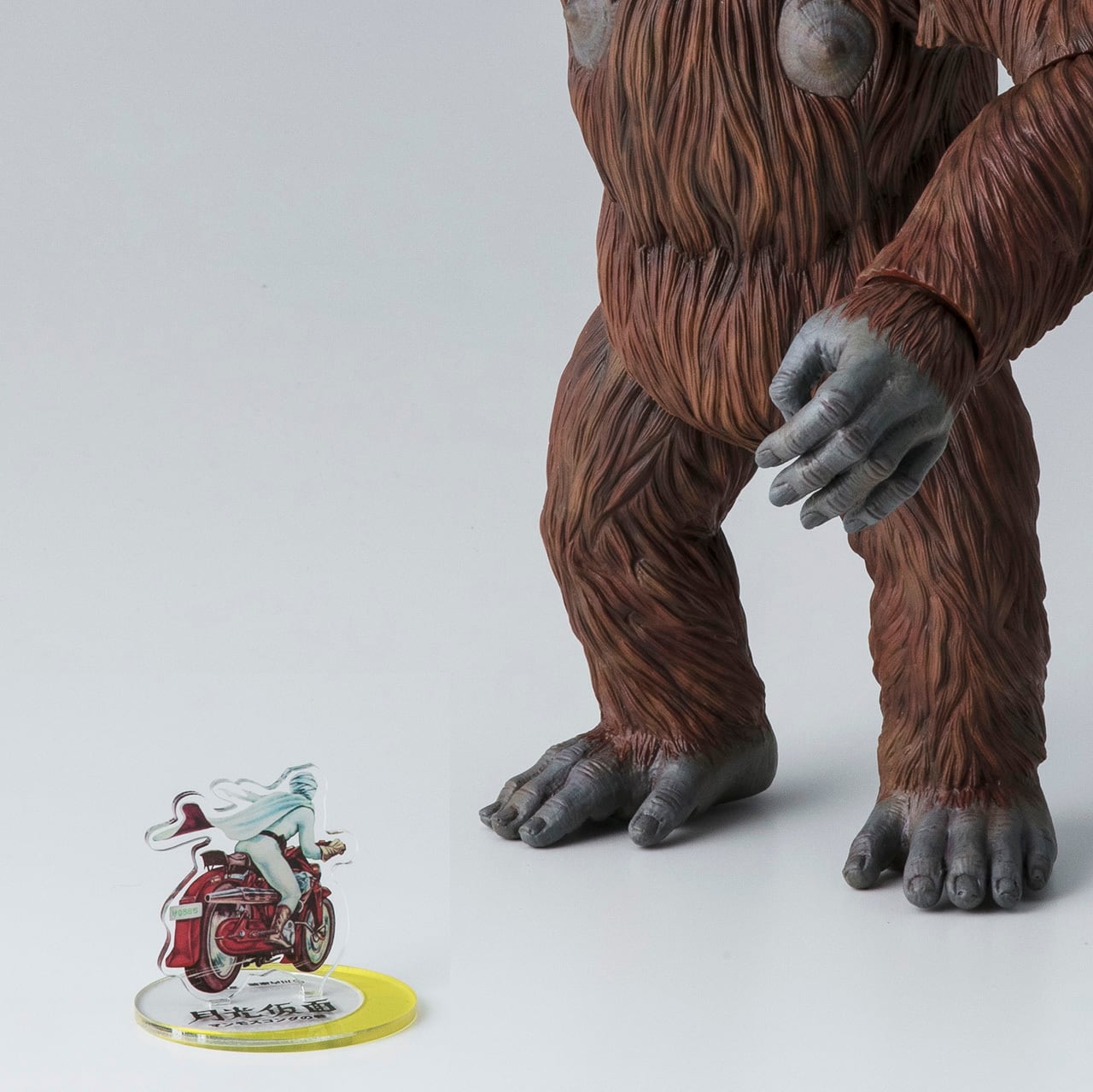 29d12ab3d6b3774d0b2459219c5871