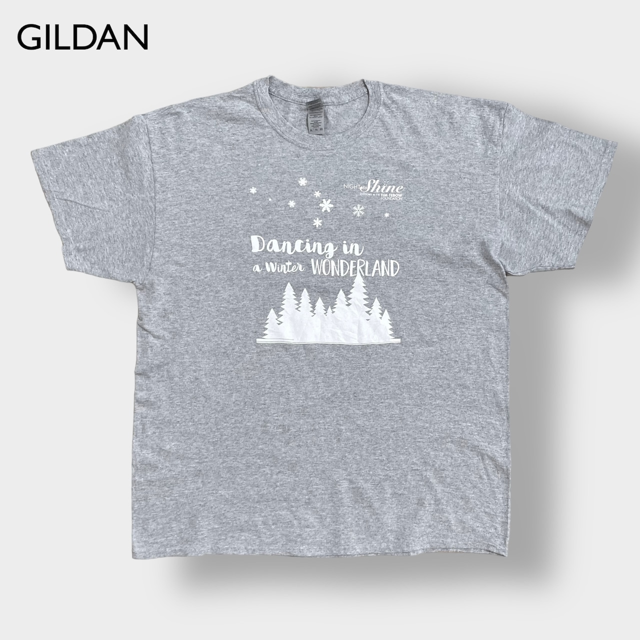 【GILDAN】バックプリント Tシャツ 雪  chattahoochee river チャタフーチー川 半袖 グレー 夏物 US古着