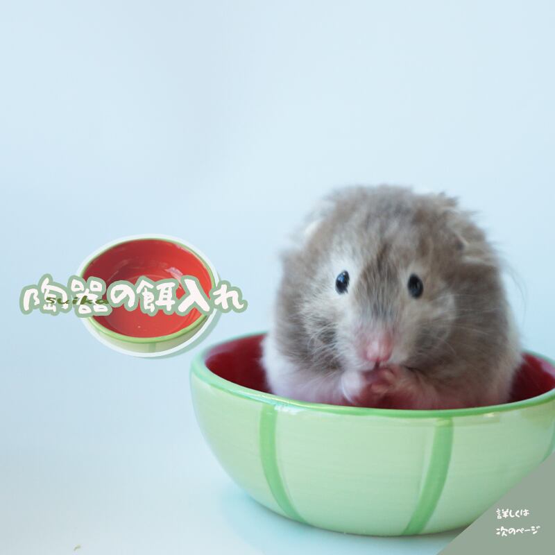 ハムスター エサ入れ スイカ 陶器 小動物 フードボウル 水洗いOK かわいい 餌入れ 食器 ひんやり 清潔 丈夫 ケージ 明るい ペット用品 ゴールデンハムスター キンクマハムスター 餌入れ