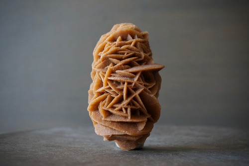 デザートローズ　Desert Rose 960