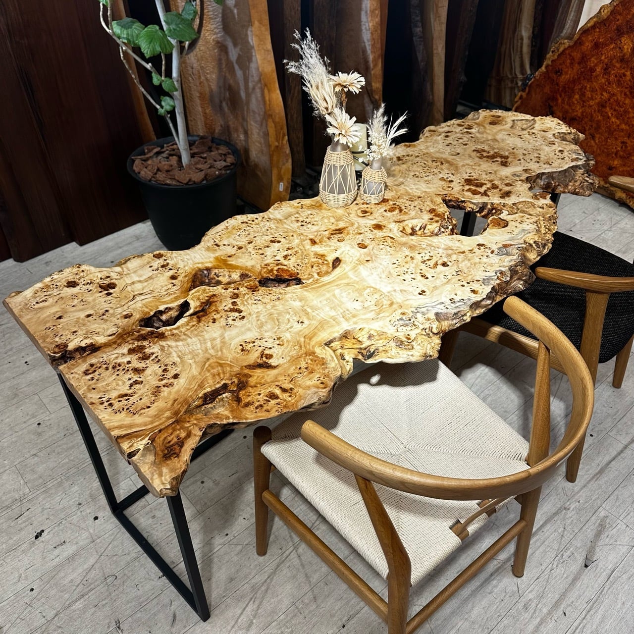 ポプラ瘤_1600×500-650-600×40_浅草本店_テーブル天板/一枚板 241285 