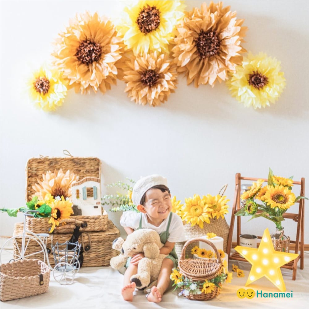 送料無料】 バスケット トランク 2個セット ウォーターヒヤシンス 製